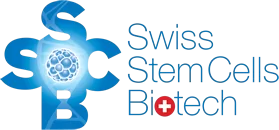 Swiss Stem Cell Biotech SSCB was founded as a private bank for the cryopreservation of human stem cells obtained from blood and cord tissue for both autologous and allogeneic intra-family use. SSCB also allows the preservation of stem cells from adipose tissue. These cells have great potential in regenerative medicine, thanks to their ability to differentiate into numerous cell types and thus reconstruct many compromised tissues and organs. SSCB operates in the field of cellular therapies with specialization in the collection, purification, characterization, processing and storage of stem cells for therapeutic and aesthetic uses and for the development of new experimental protocols. Thanks to the constant commitment in biotechnology in the cellular field, over the years a highly specialized know-how and cutting-edge methods in the processes, quality and safety of stem cell storage and release have been developed.